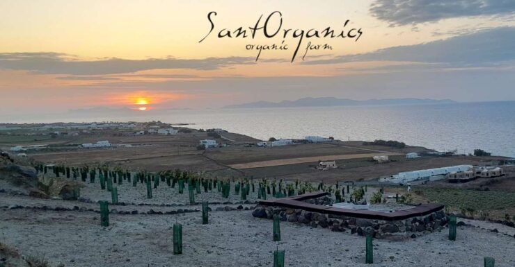 Santorini: Private Agri-Educational Visit to an Organic Farm - Itinerary