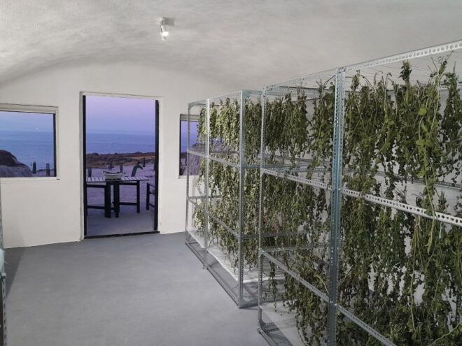 Santorini: Private Agri-Educational Visit to an Organic Farm - Inclusions