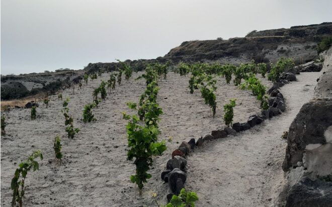 Santorini: Private Agri-Educational Visit to an Organic Farm - Important Information