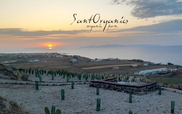 Santorini: Private Agri-Educational Visit to an Organic Farm - Customer Reviews