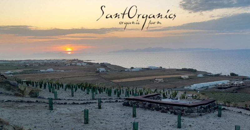 Santorini: Private Agri-Educational Visit to an Organic Farm - Good To Know