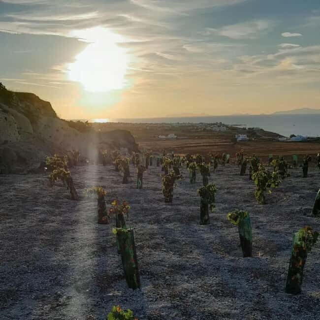 Santorini: Private Agri-Educational Visit to an Organic Farm - FAQs