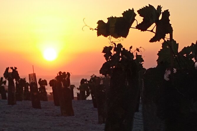 Santorini: Private Agri-Educational Visit to an Organic Farm - Common Questions