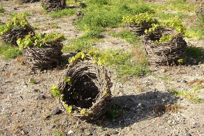 Santorini Private Customized Half or Full Day Tour - Tour Duration and Inclusions