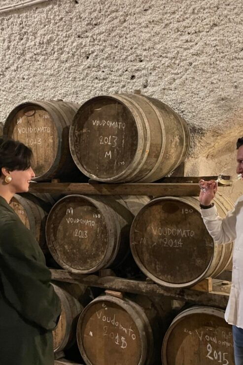 Santorini Private Daytime Wine Tour With Certified Sommelier - Customer Testimonials and Recommendations