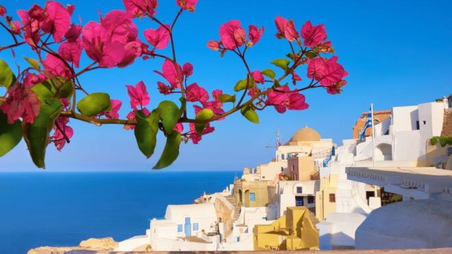 Santorini : Private Half Day - Best of & Wine Tasting Tour - Exclusions