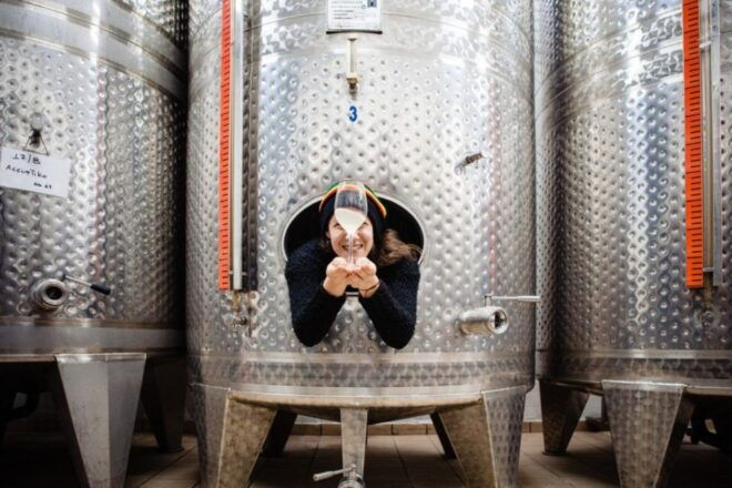 Santorini: Private Harvest Wine Tasting Limited - Highlights of the Activity