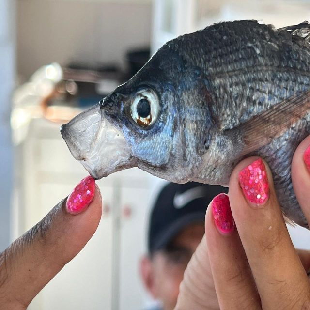 Santorini: Private Sunset Fishing Tour With Lunch - Experience