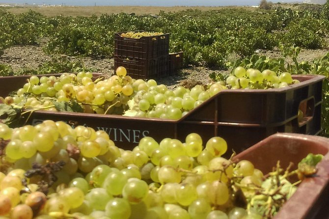 Santorini Private Tour - Common Questions