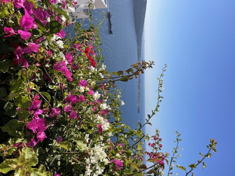 Santorini: Private Tour of the Famous Blue Domes and Caldera - Good To Know