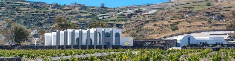Santorini Private Wine Exprerience: 3 Wineries &Local Snacks - Who Should Consider This Tour?