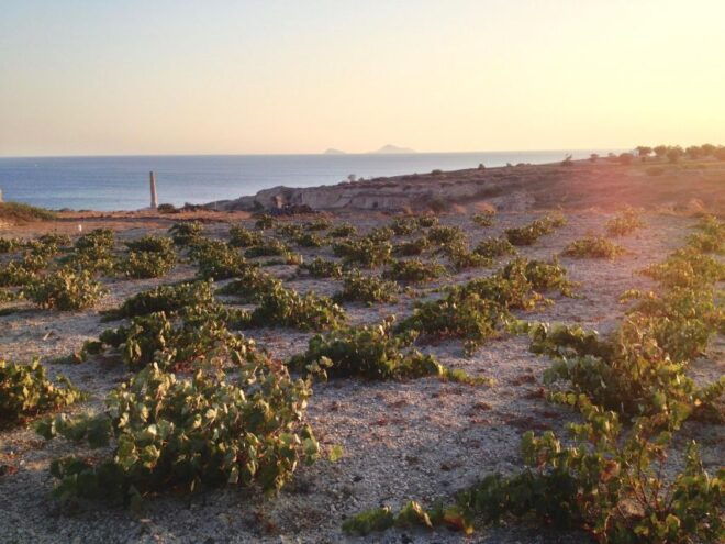 Santorini Private Wine Tour and Local Dining - Tour Itinerary
