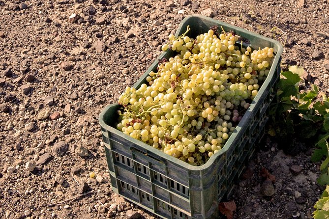 Santorini Private Wine Tour & Sunset in Oia - Common Questions