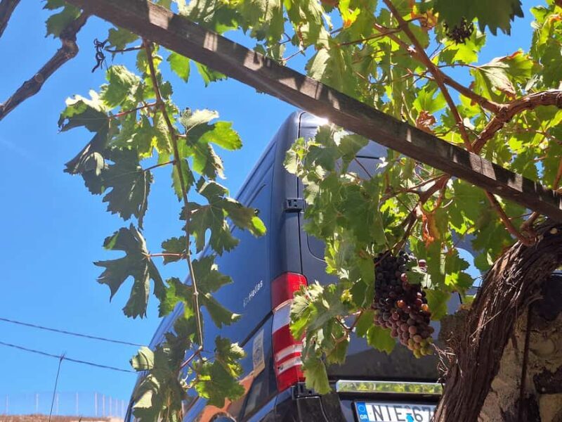 Santorini Private Wine Tour with Local Expert & Sunset - The Sunset Experience: Quiet, Scenic, and Photogenic