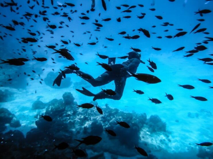 Santorini: Scuba Diving Experience for Beginners - Experience Details