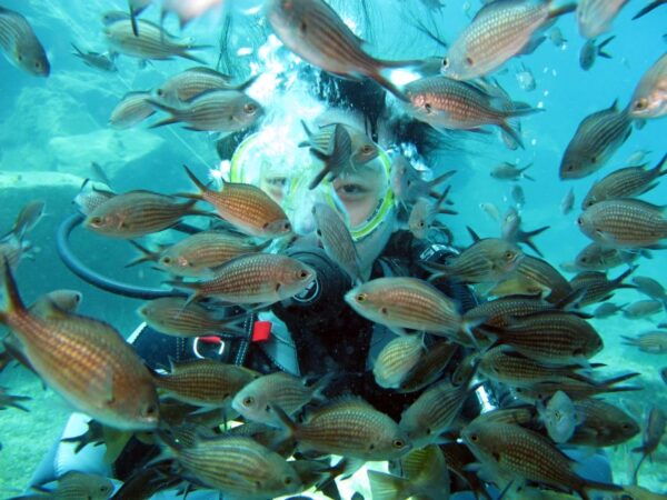 Santorini: Scuba Diving Experience for Beginners - The Sum Up