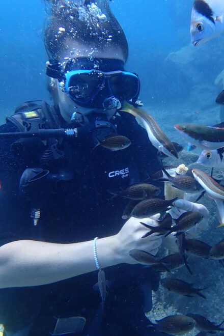 Santorini: Scuba Diving - Equipment and Gear Provided