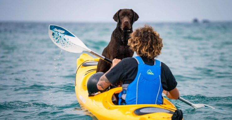 Santorini: Sea Caves Kayak Trip With Snorkeling and Picnic - 7-Hour Duration With Convenient Starting Times