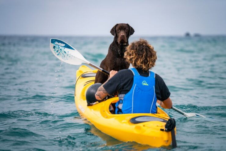 Santorini: Sea Caves Kayak Trip With Snorkeling and Picnic - Experience Highlights