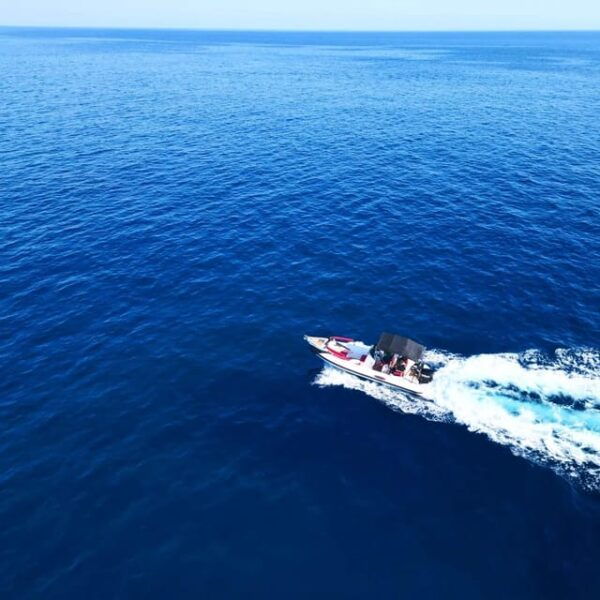 Santorini Select Van and Boat Excursions - Tips for Your Adventure