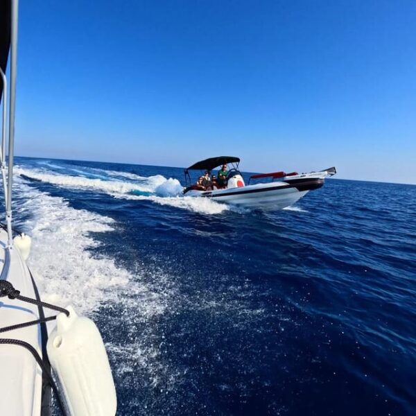 Santorini Select Van and Boat Excursions - Customer Testimonials and Reviews