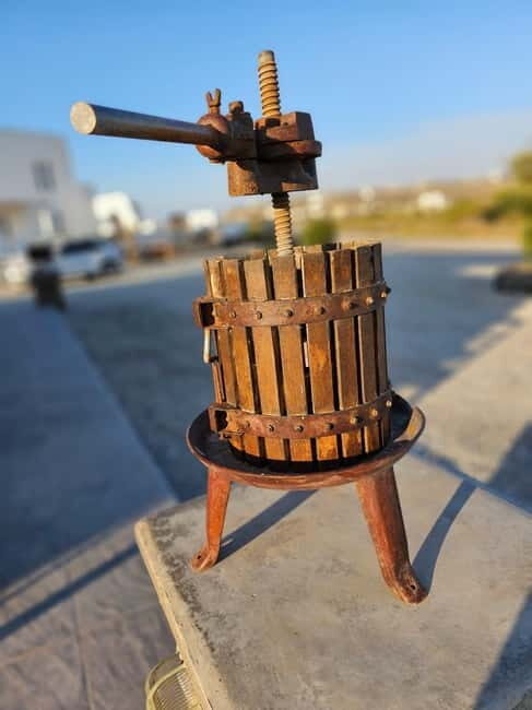 Santorini: Shared Wine Tasting and Culinary Experience - Who Would Enjoy This Tour?