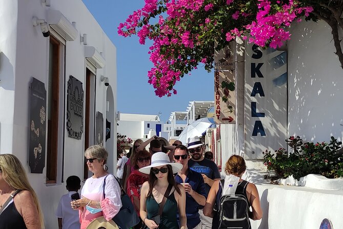 Santorini Shore Excursion: 5-hour Private Tour - Relaxation on the Beautiful Santorini Beaches