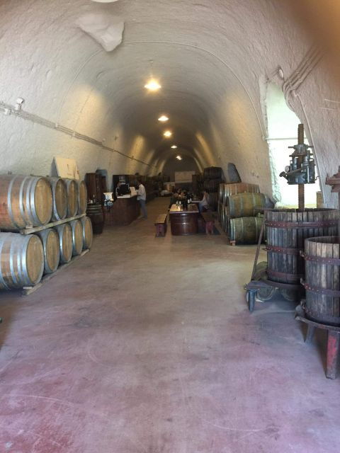 Santorini Shore Excursion - Half Day Wine Tour - Experience and Highlights