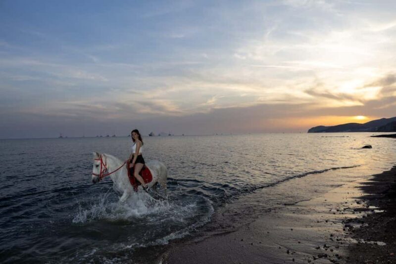 Santorini: Sunset Horse Riding Tour with Professional Photos - What Reviewers Say