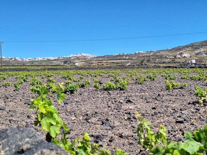 Santorini: Three Villages and Three Castles Hiking Tour - Castles on the Route