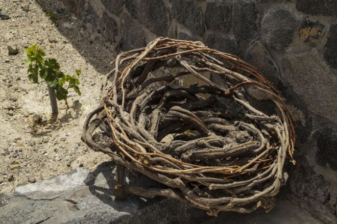 Santorini: Three Wineries and One Brewery Tour With Tastings - Review Summary