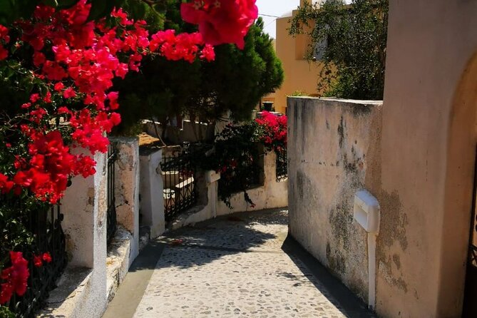 Santorini Tour Highlights 6h for Groups and Families - The Sum Up