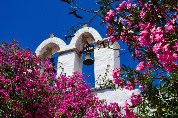 Santorini Tour : Oia, Black Beach, and Pyrgos Half-Day Tour - Pricing and Duration