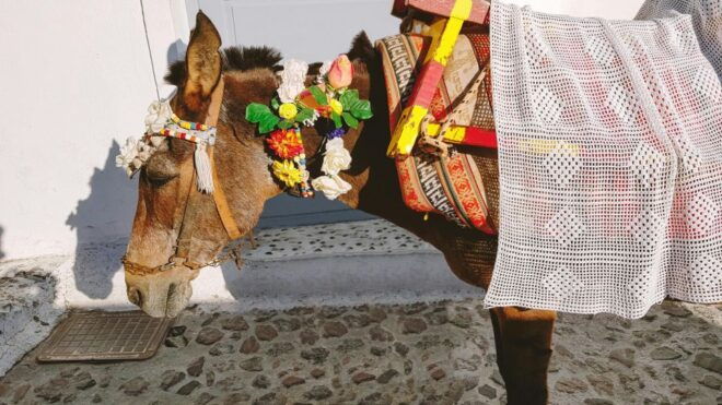 Santorini Tour : Oia, Black Beach, and Pyrgos Half-Day Tour - Detailed Itinerary