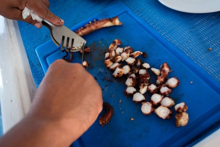 Santorini: Traditional Fishing Trip and Fresh Fish Lunch - Activity Details