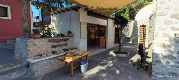 Santorini Vegan Food & Wine Tour - What to Expect