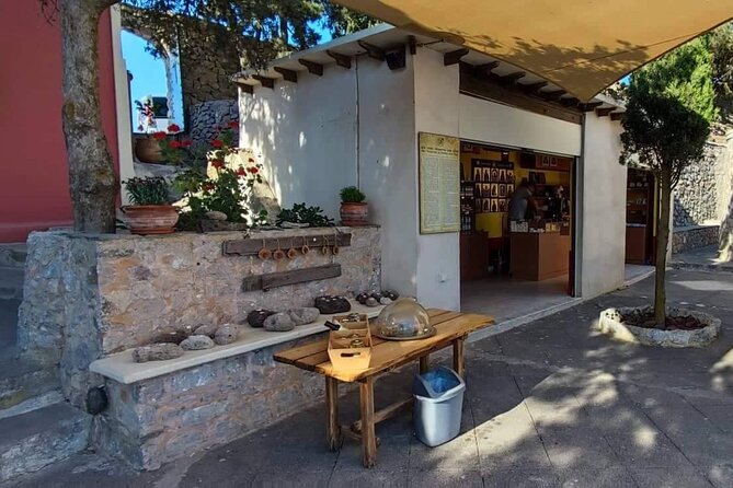 Santorini Vegan Food & Wine Tour - Vegan-Friendly Wineries in Santorini