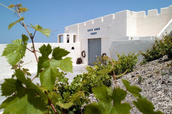 Santorini Vegan Food & Wine Tour - Booking Your Santorini Vegan Food & Wine Tour