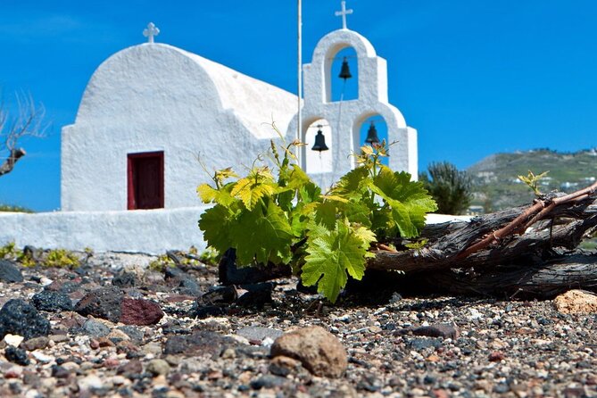 Santorini Wine and Wineries Tour - Discover the History of Winemaking in Santorini