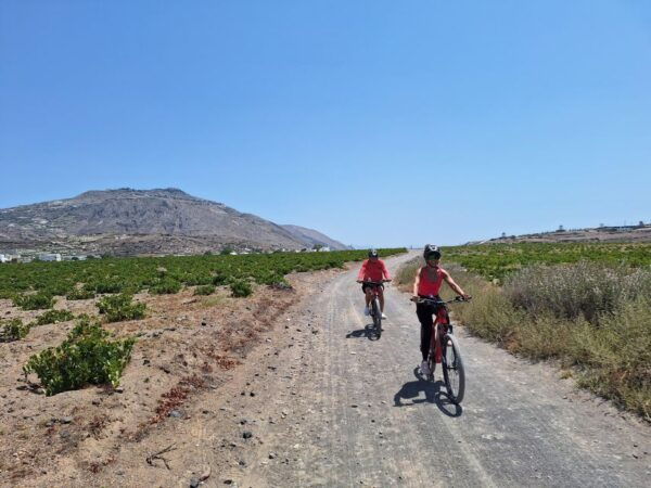 Santorini: Wine Country E-Bike Tour - The Sum Up