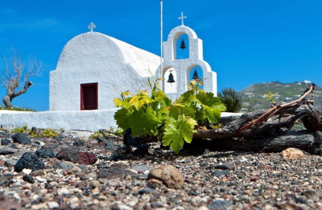 Santorini Wine Experience: Daytime Tour - Unique Wineries Explored