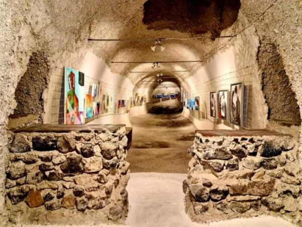 Santorini Wine Experience: Daytime Tour - Special Features