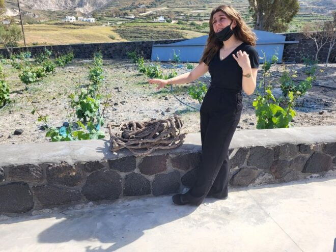 Santorini Wine Experience - Exploring the Wineries