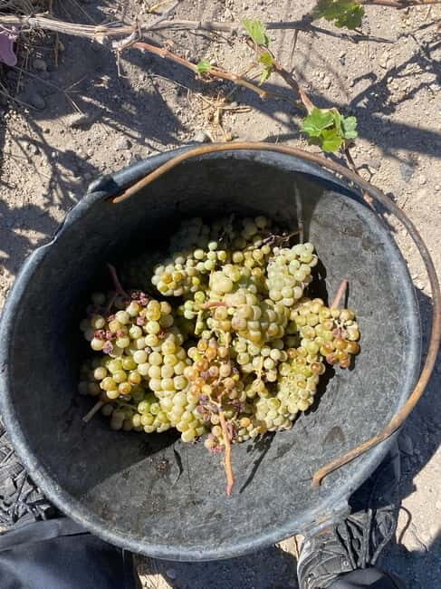 Santorini Wine & History Tour with 3 Expert Sommeliers - Good To Know