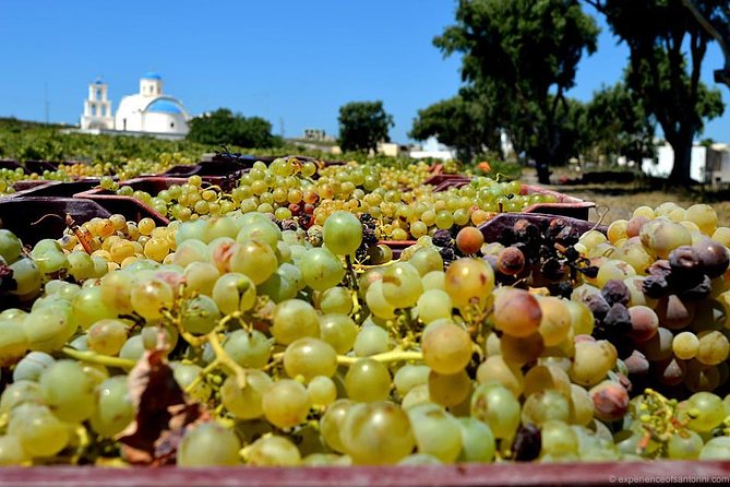 Santorini Wine Roads Half Day - Additional Information