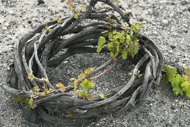 Santorini Wine Tasting and Traditional Cave Settlement Tour - Tour Details