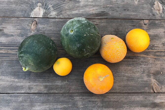 Santorini Wine Tasting and Traditional Cave Settlement Tour - Lava Cave Settlement