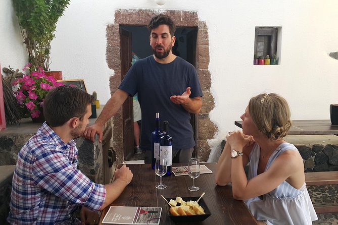 Santorini Wine Tasting & Food Pairing :Taste Good Life at Santorini - Soaking in the Beauty of Santorinis Vineyards