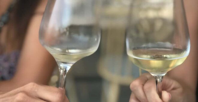 Santorini: Wine Tasting in 3 Wineries and a Greek Meal Group - Pickup and Drop-off