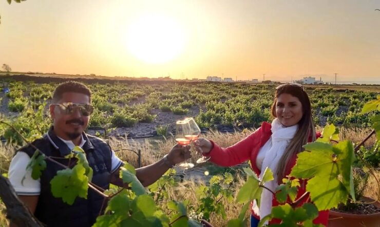 Santorini: Wine Tasting Tour - Tour Details